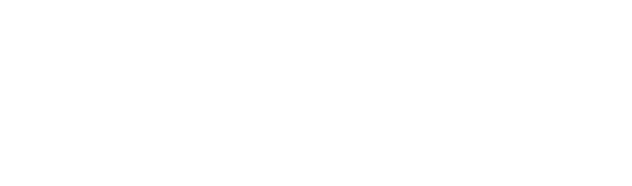 Executive Network Services, Inc.  Website